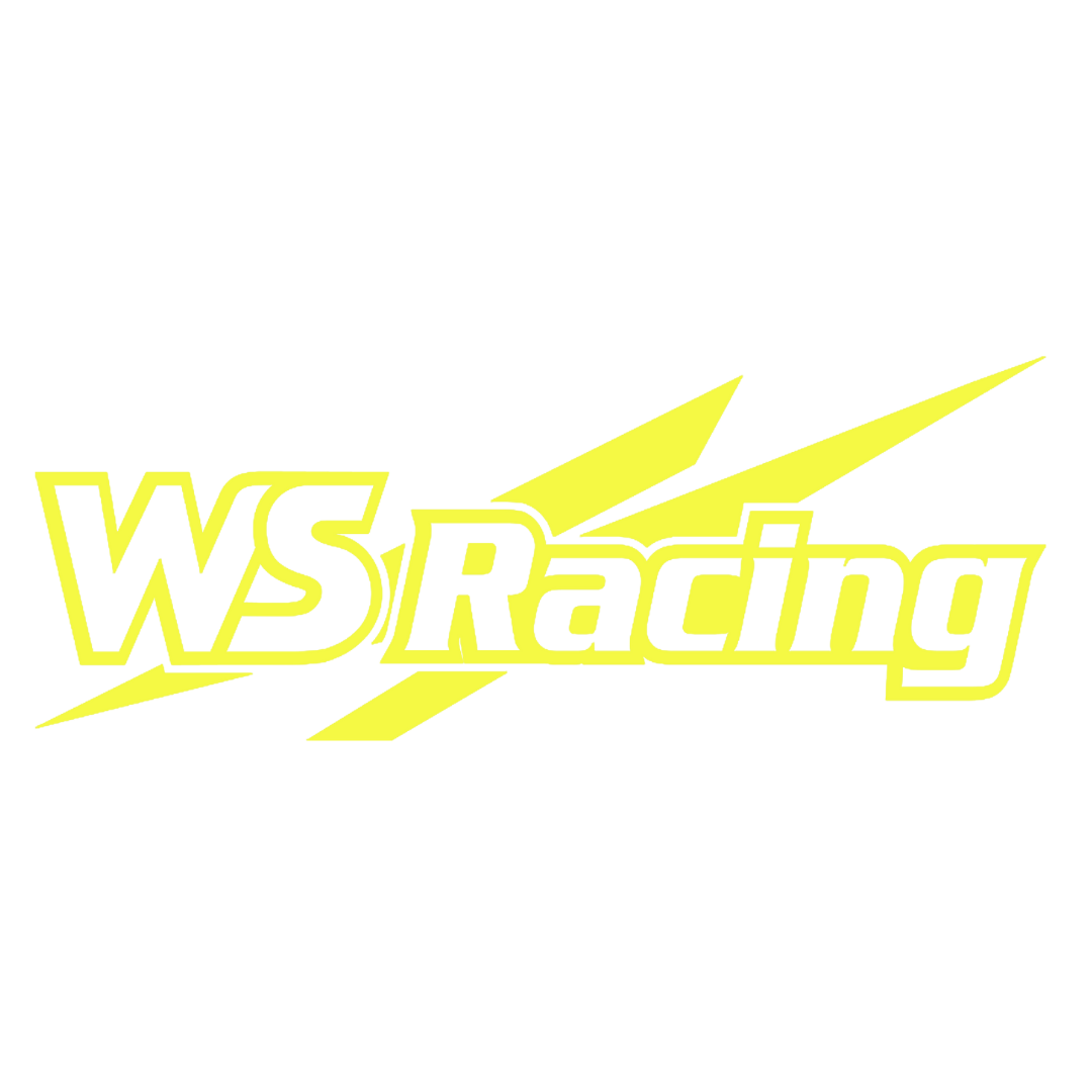 WS Racing Lamborghini Windschiegl – Erger Media erstellt Logo-Designs und Werbevideos für das Motorsport-Team